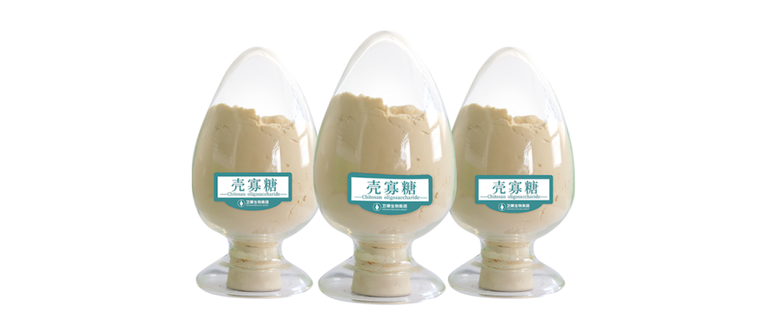 殼寡糖在家禽生產中的應用